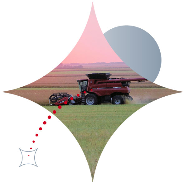 Servicii de schimburi valutare pentru sectorul Agricultura