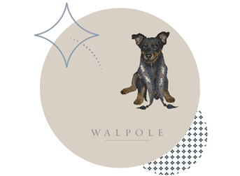 Giving our customers a global premium service since 1979