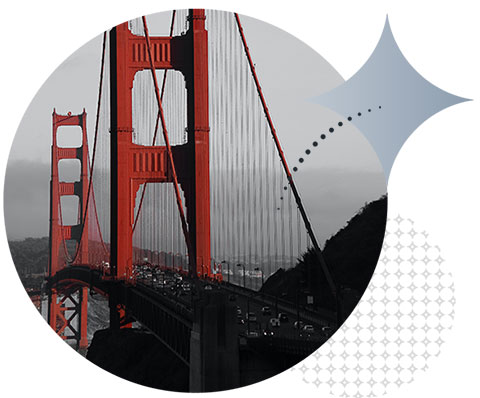 International payments for your business