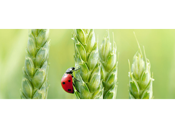 Keeping pace with the global revolution in agriculture