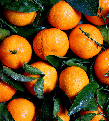 Your place in the sun