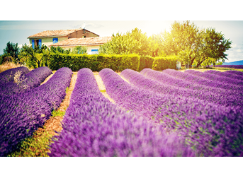 Paiements réguliers