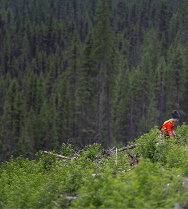 Earth Day 2021 with moneycorp