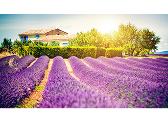 Buy property in France